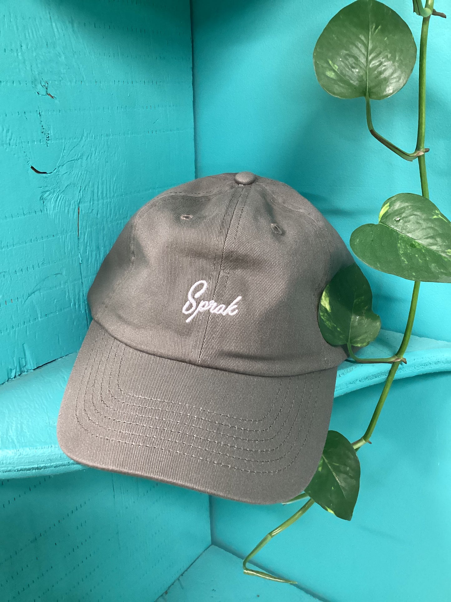 Sprak Script Dad Hat