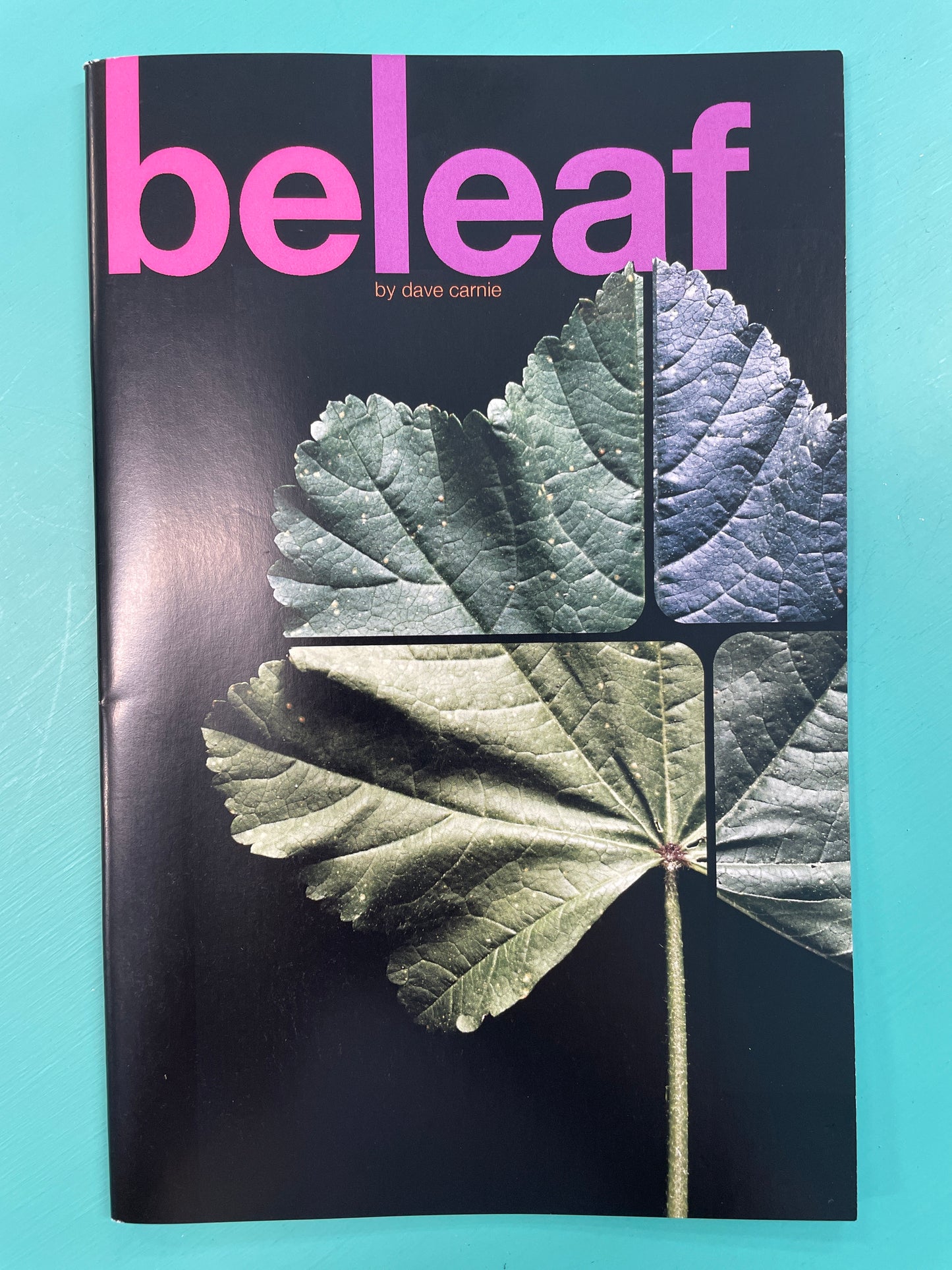 Stranglove "beleaf" Book by Dave Carnie