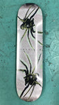Polar David Stenström Spider Deck 8.0